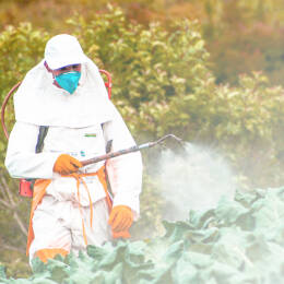PESTICIDE
