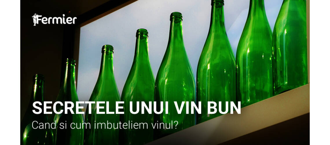 Secretele unui vin bun. Cand si cum imbuteliem vinul?