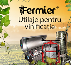 Vinificatie – Sfaturi si pasi pentru un vin de calitate 
