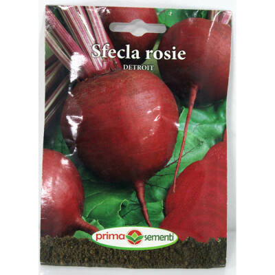 Seminte sfecla rosie Detroit 5 gr, Prima Sementi