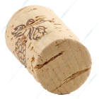dop-pluta-first-2-a