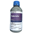 talendo