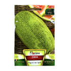 Seminte pepene verde Charleston Grey 5 gr, Florian Bulgaria 1