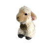 oaie plus 1