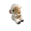 oaie 2